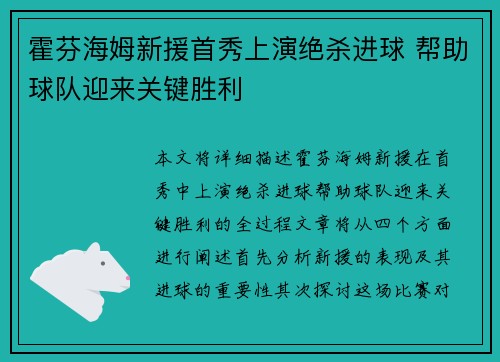 霍芬海姆新援首秀上演绝杀进球 帮助球队迎来关键胜利