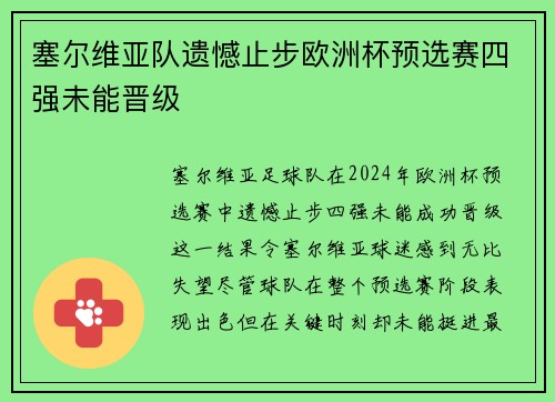 塞尔维亚队遗憾止步欧洲杯预选赛四强未能晋级