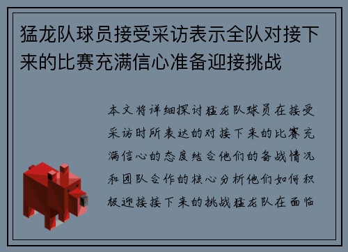 猛龙队球员接受采访表示全队对接下来的比赛充满信心准备迎接挑战